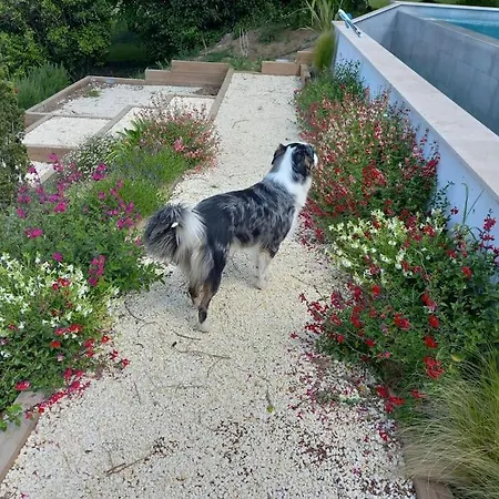 Bed & Breakfast Les Palissieres - D'hotes *