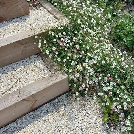 Les Palissieres - D'hotes *