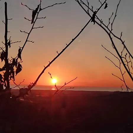 Les Palissieres - D'hotes Bed & Breakfast Mortagne-sur-Gironde
